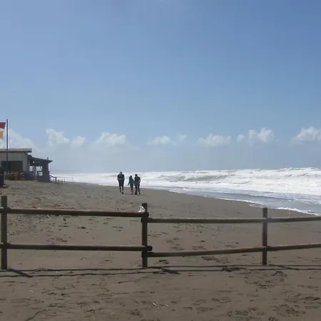 Kemping Happy Camp Mobile Homes In Free Marina Di Bibbona